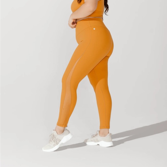 POPFLEX Mystical Moments Collection Lumen Mesh Tights - Picture 3 of 6